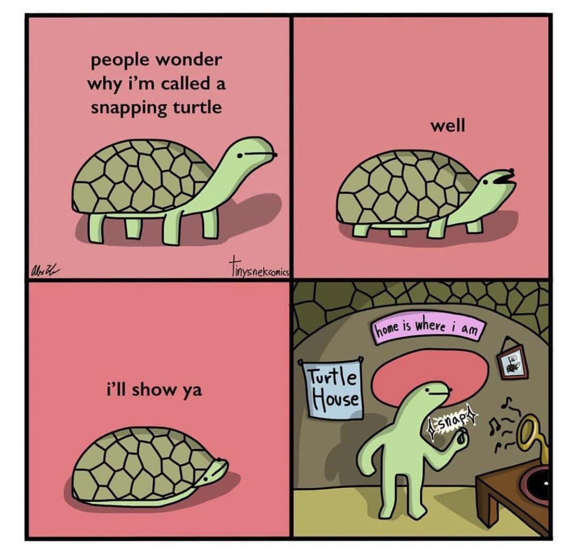 SpaceTurtles NFT tweet media