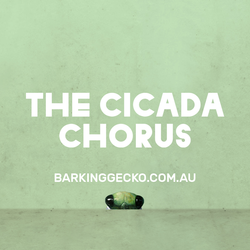 Did you know that cicadas are the loudest insects in the world? When they emerge from underground in late Spring, they add their voice to a chorus that becomes the soundtrack to our Summer in Australia. Join Barking Gecko’s Cicada Chorus today. 🪲 bit.ly/3lOn19r 🎶