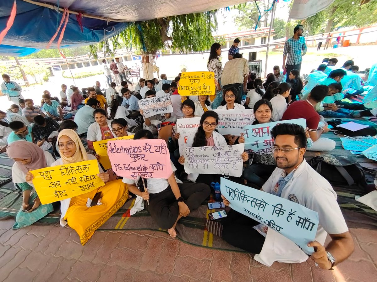 AKANKSH49227348's tweet photo. न आन कि न अभिमान कि
 ये लड़ाई है सम्मान कि
#IncreaseInternshipAllowance 
#BVC_On_Strike
#IncreasePgFellowship
@Nitishkumar
@saravanakr_n
@tarkishorepd
@ZeeBiharNews
@presidentVCI
@nitishkrishna8
@AnimalBihar
@PRupala
@drsanjeevbalyan
@min_fahd
@CMOBihar1
@htTweets https://t.co/66nQD3HyAH
