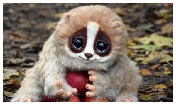 mtmsoft's tweet image. Amazing things happen to me every single day.