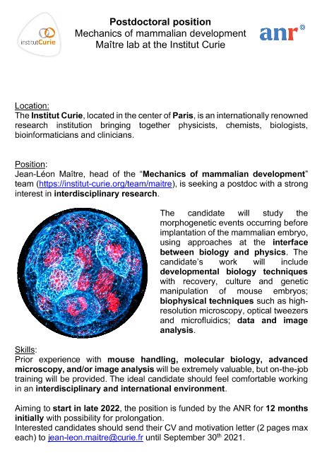Jean-Léon Maître (@maitrejl) on Twitter photo 🚨🚨🚨
Interested in how embryos shape themselves??
We are looking for a #postdoc to join us <a href="/institut_curie/">Institut Curie</a> in #Paris
Please RT! 🚨🚨🚨
Interested in how embryos shape themselves??
We are looking for a #postdoc to join us <a href="/institut_curie/">Institut Curie</a> in #Paris
Please RT!