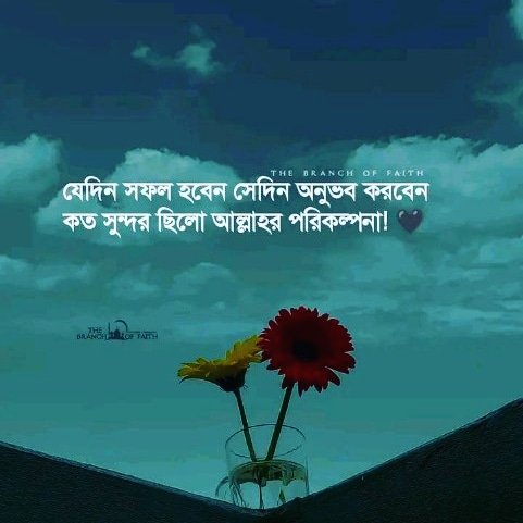 TayebaAtia's tweet photo. 🖤 https://t.co/pNxDiwyod3