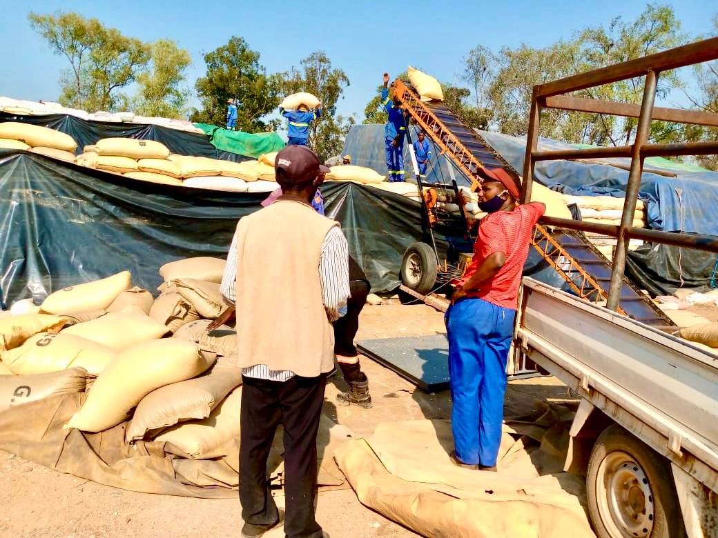 <a href="/MoLAFWRD_Zim/">MinofLands,Agric,Fisheries,Water&Rural Development</a> 
FARMERS will be paid instantly for their grain upon delivery at all collection points set up by the <a href="/GMBdura/">GMBdura</a> <a href="/GlobalFarmersC1/">Global Farmers Connect🌍</a> <a href="/EmmanuelMarume5/">Emmanuel Marume</a> <a href="/MukuvariKaroi/">Mukudzvova Farm Produce</a> <a href="/farm_value/">Green Value farm</a> <a href="/agribusiness110/">agribusiness1.</a> <a href="/basera_john/">John Basera</a>