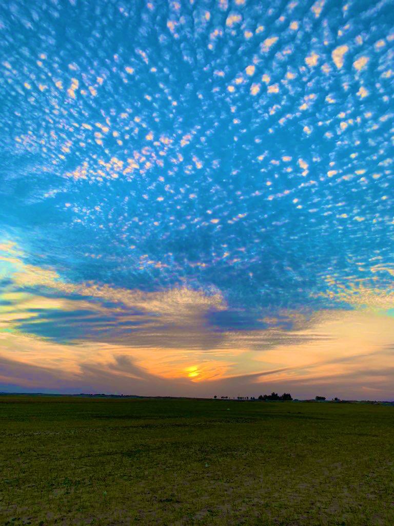 سني بروحي لا بعد سنيني
عمري الى الستين يركض مسرعًا  
والروح ثابتة على العشرين