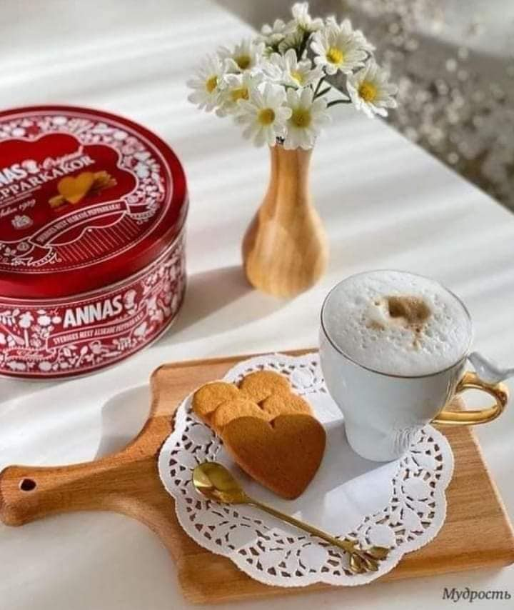 TC_TOPRAK_'s tweet photo. @leventakbas4 @ZSoytan @zllktlr @Aslican33 @zarafatttx @Kizilay16S @Berfinim_Deniz @AdayEsat @__Ihtiyar @TC_BERFIN @Ceyhan95249560 @koczeynep123 @muallayass @GBocekoglu @hakkisallier @pek20862298 @AtaminKiziyim @NevzatNevzatC @opekel @atam_iz_indeyim @avukatbahatttin @kenan12_erol @mustafa89186873 @Dogangns1975 @nesrinertass @KemalSariyildi3 @SonMoohicann @zsoytan1881 @osmannersoz @turkcemile66 @Selami46338035 @MehmetK10308253 @sakineozkaya @Muzaffe99664861 @AliAbdal05 @ayseucar5 @Son_moohican @62Fgn @AtakiziSeher @sonmarti1 @SaadetUysal18 @MuallaYassibas 🌼🌿╰╮ ✿🧡✿ ╭╯🌿🌼
🌼 #Unitma_ki...🌼
#Her_seven isimsiz.
Bir #kahramandır.
#Unutma_ki
İnsan #seve_bildiyi kadar,
#İnsandır
🌼🌿╰╮ ✿🧡✿ ╭╯🌿🌼
#Hayırlı #Musmutlu #SABAHLAR
#DOSTLAR ༻🧡༺
Sє√qiLєrim'Lє.🌼🌿#Selâm İle . https://t.co/NOI8TgKOj0