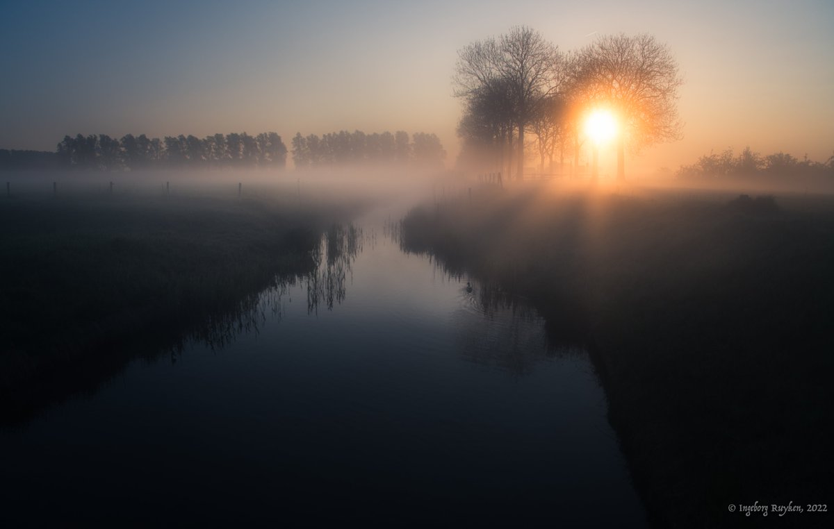 Ingeborg Ruyken tweet media