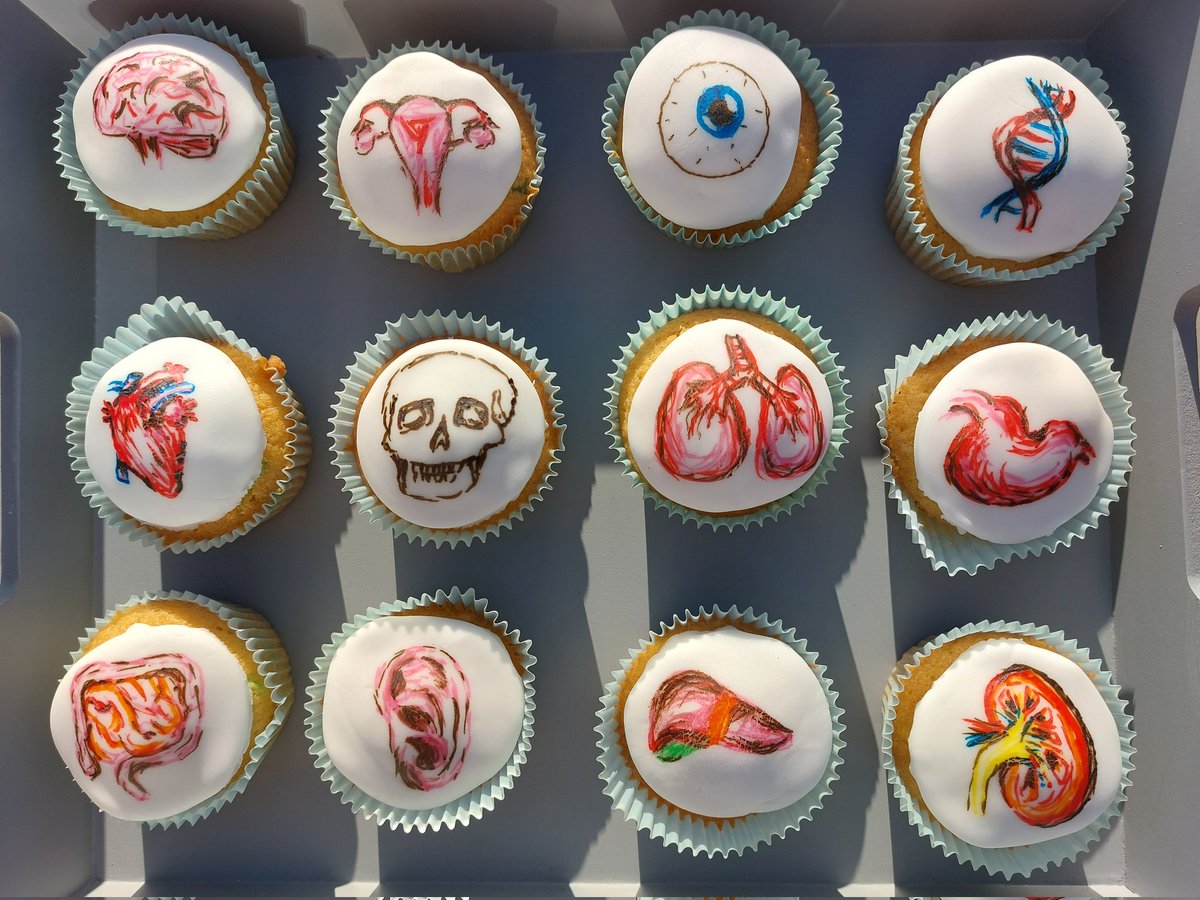 Happy Biomedical Science Day! 🥼🧪🔬 This year I've made some anatomy cakes to celebrate @BthPathology @IBMScience #BiomedicalScienceDay2022 #AtTheHeartOfHealthcare #histology