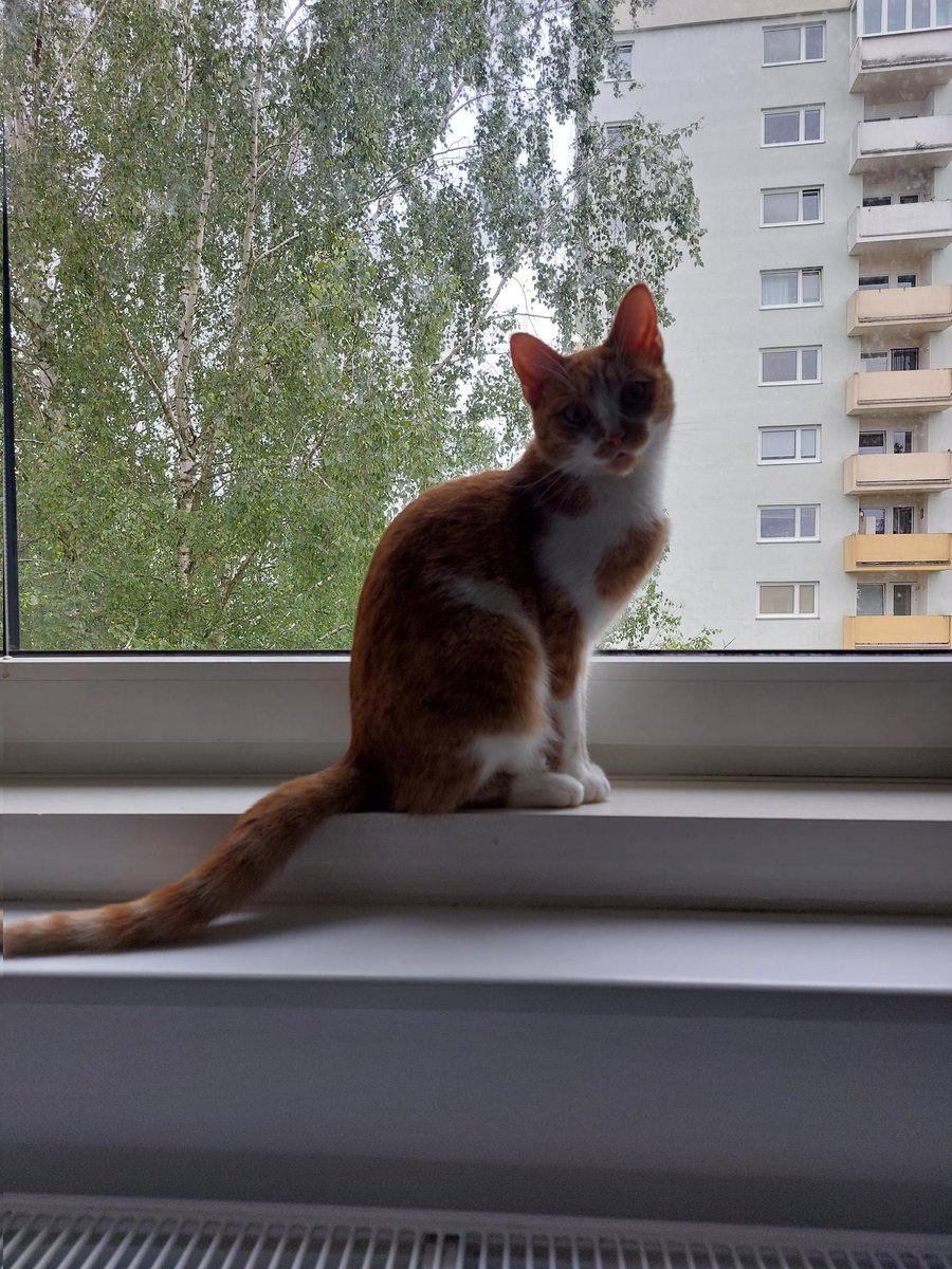 Matthias_Matti2's tweet photo. ❤️❤️❤️❤️❤️❤️ https://t.co/Ztn00Kzvyk
