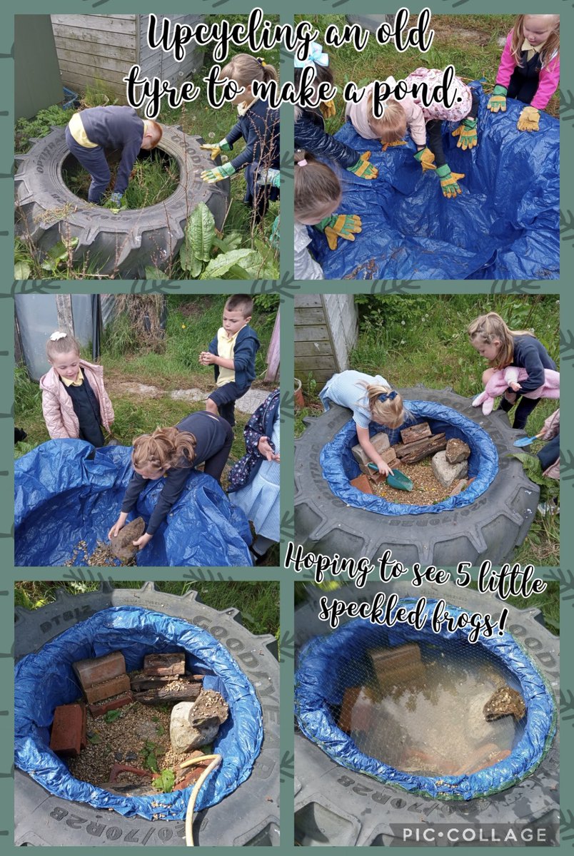 Mrs Gray tweet media