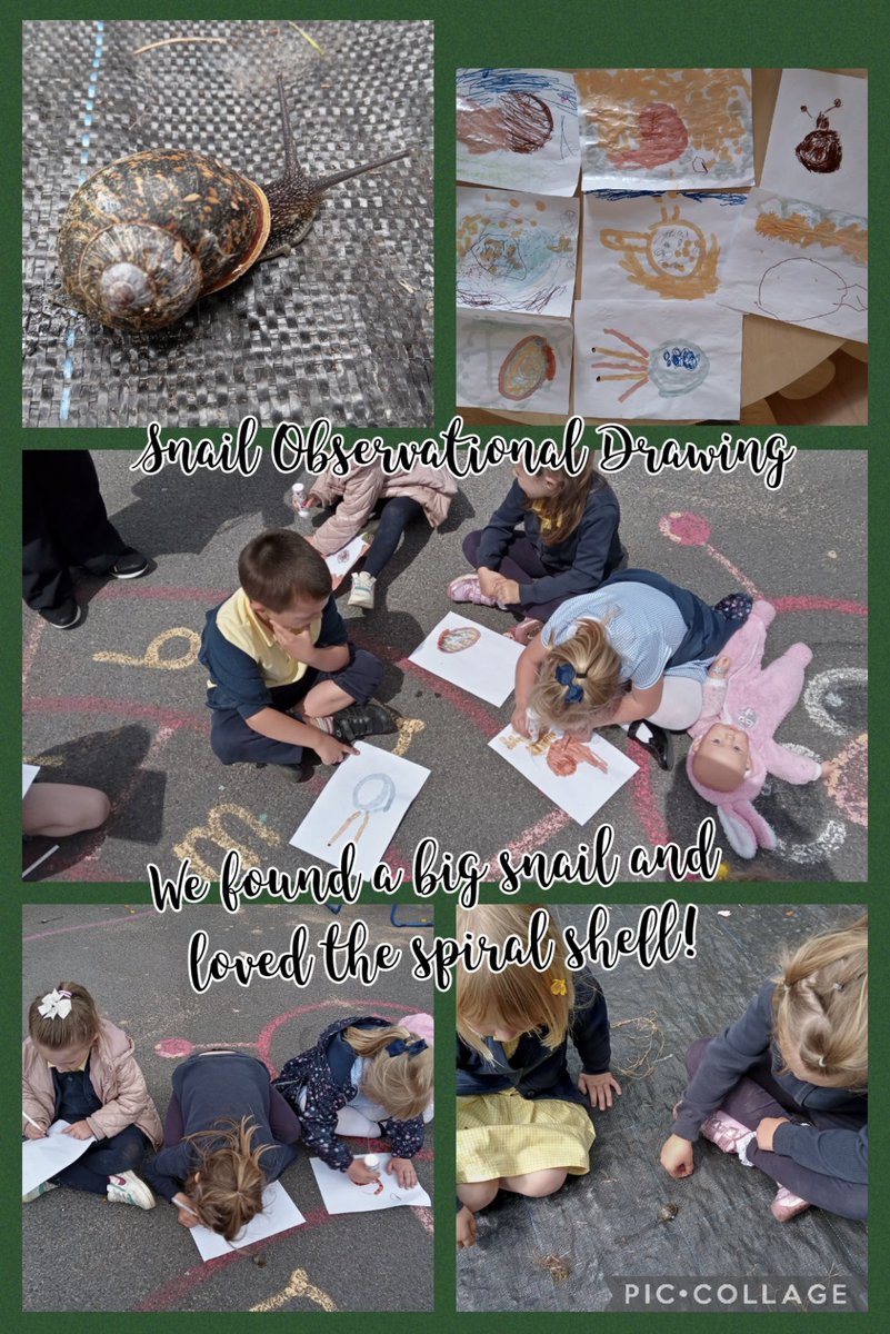 Mrs Gray tweet media