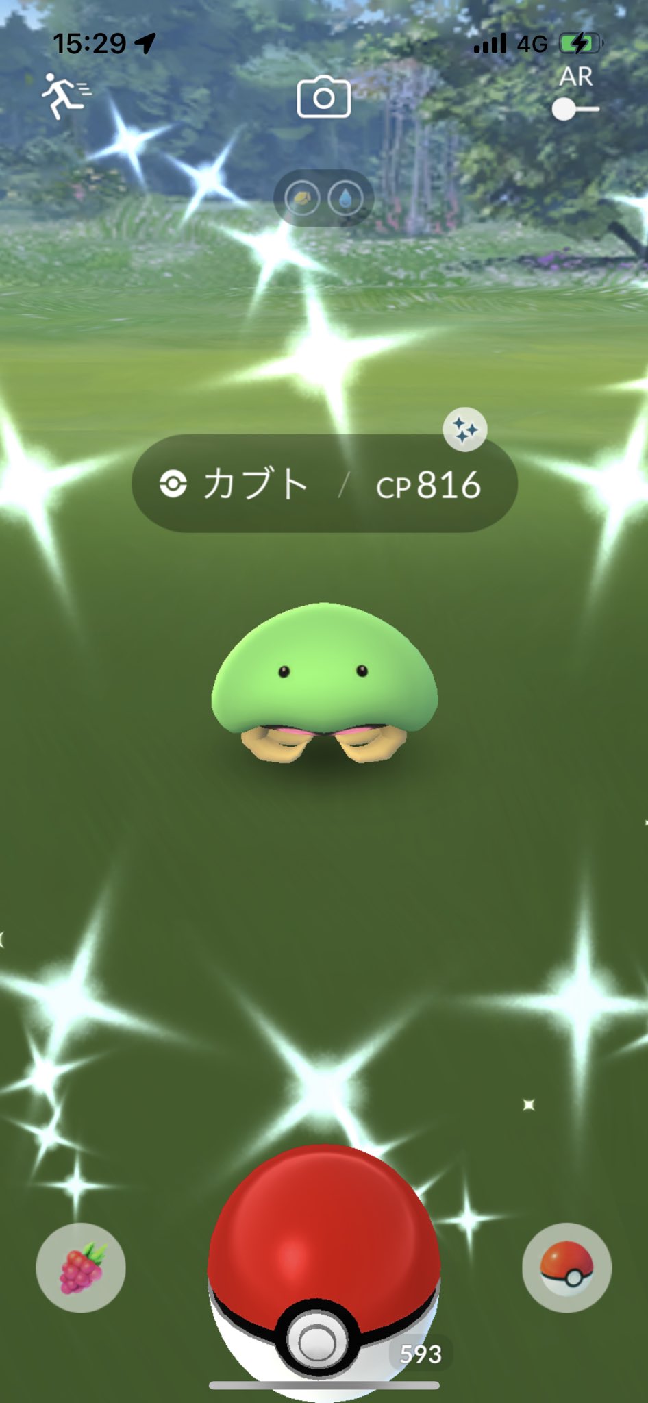 色違いカブト Twitter Search Twitter