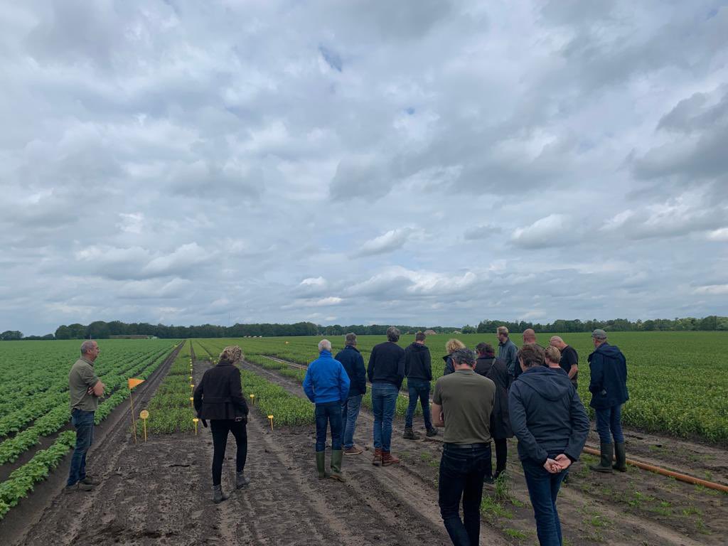 Tijdens een gezamenlijke bijeenkomst gisteren van het programma team en de projectgroep communicatie, een eerste veld bezoek gebracht dit jaar aan een aantal praktijkvelden van de pilot Duurzame Bollenteelt Drenthe.

#westerveld #bollenteelt #lelies