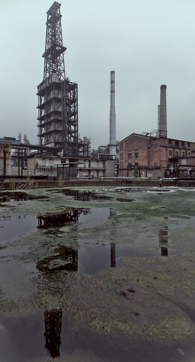 landscape crops, but in verticals