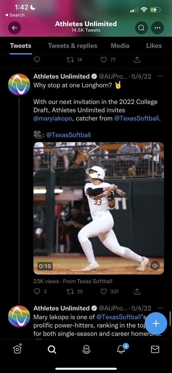 Hailey Dolcini tweet media