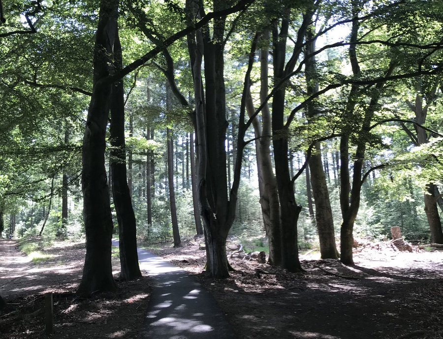 JaapdeVries20's tweet photo. Vanochtend start met wolkenvelden en perioden met zon. In het ZO van ons land kan er nog een bui vallen. De temp ligt vandaag rond de 19 gr. De wind is zwak en komt uit westelijke richting. Vrijdag wordt het al wat warmer met in de middag veel ruimte voor de zon. #zomer #veluwe https://t.co/8SOrAaKCQo