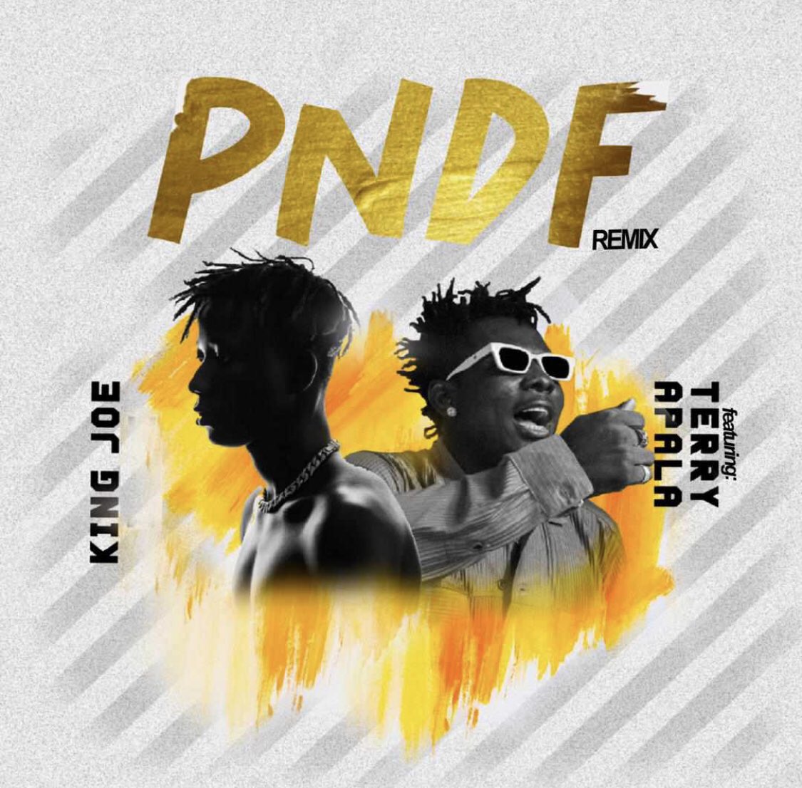 veli_thug's tweet photo. #pndf remix dropping soon @king_ibile  ft @iam_TerryApala  eh tun ti gbe ni nu adugbo 😂🎧🎧 https://t.co/4l0vj7FTF1