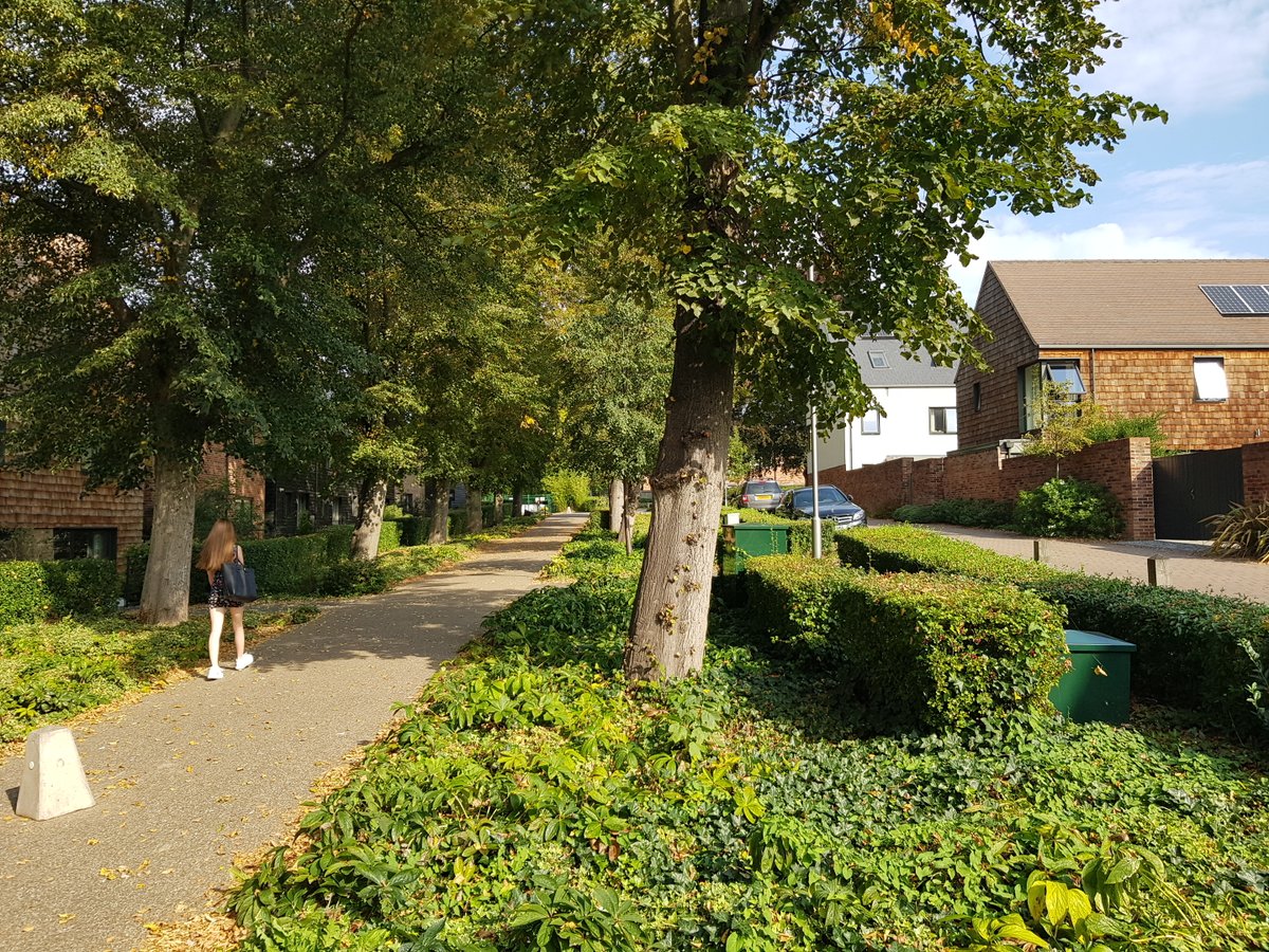 Andrew Cameron tweet media