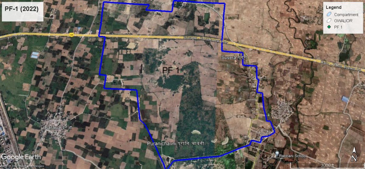 Advyashj's tweet photo. See the condition of our #Gwalior forest. Comparison 2003 &amp; 2022. #encroachment #departmentsleeping #forest #forestland #pf
@moefcc @byadavbjp @minforestmp @KrVijayShah @PMOIndia @OfficeofSSC @JM_Scindia @dmgwalior @GwaliorComm https://t.co/B3EJ9AIBUP