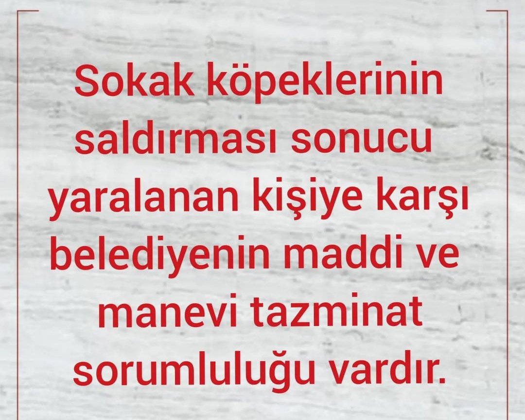 2- Aynı zamanda kanun der ki "Sahipsiz hayvanların vermiş olduğu zararlardan,belediyenin üzerine düşen özen ve dikkat yükümlülüğünü yerine getirmemesi nedeniyle sorumluluğu bulunmaktadır."