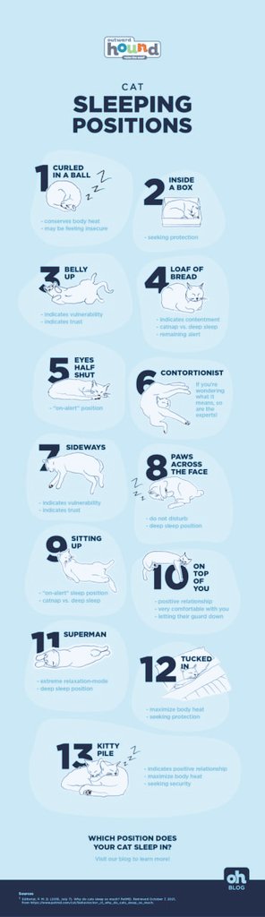 Aha, now we are educating our Dad! Did you know all these sleeping signals?
#CatsOnTwitter #CatsOfTwitter #CatSleepingPositions #KittiesSleeping