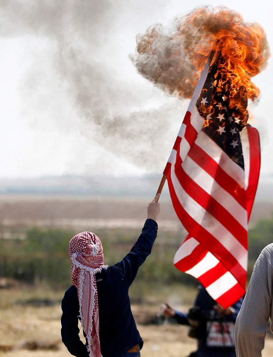 The American flag being burnt by a Palestinian demonstrater in Gaza.