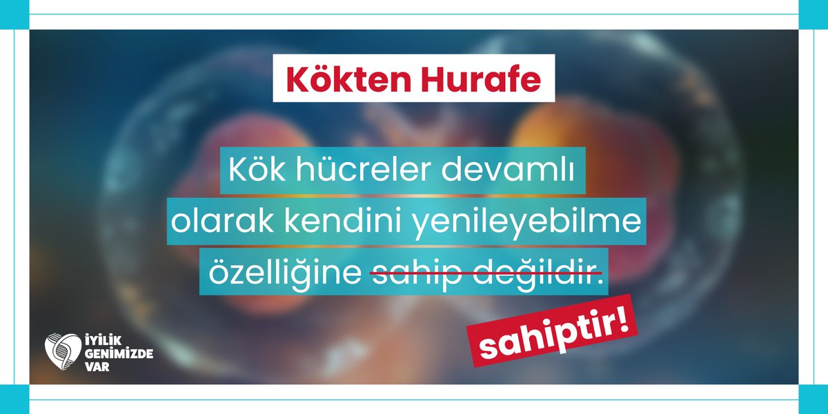 Kök hücreler devamlı olarak kendini yenileyebilme özelliğine sahip olduğu için bağış işleminden sonra bağışçının kök hücreleri belirli bir sürede tekrar eski sayısına ulaşacaktır.

#İyilikGenimizde #İyilikGenimizdeVar #DünyayıİyilikKurtaracak
#KökHücreBağışı #TÜRKÖK