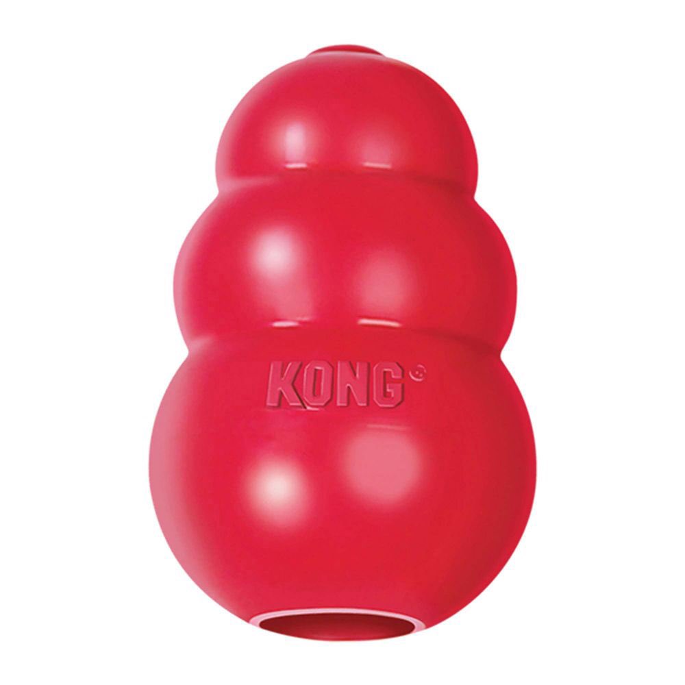 Hello frens! Rufus has a big problem with destroying all his toys! We could get him an ‘indestructible’ toy and it would be gone within a matter of days!! I’m wondering about the Kong toys? They’re supposed to be great for doggos like Rufus. Any opinions?