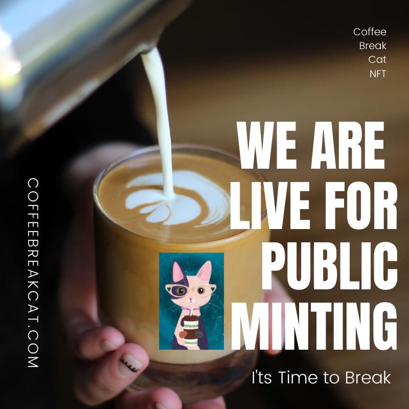 We are live for public minting!
#CoffeeBreakCatNFT #NFTminting
coffeebreakcat.com