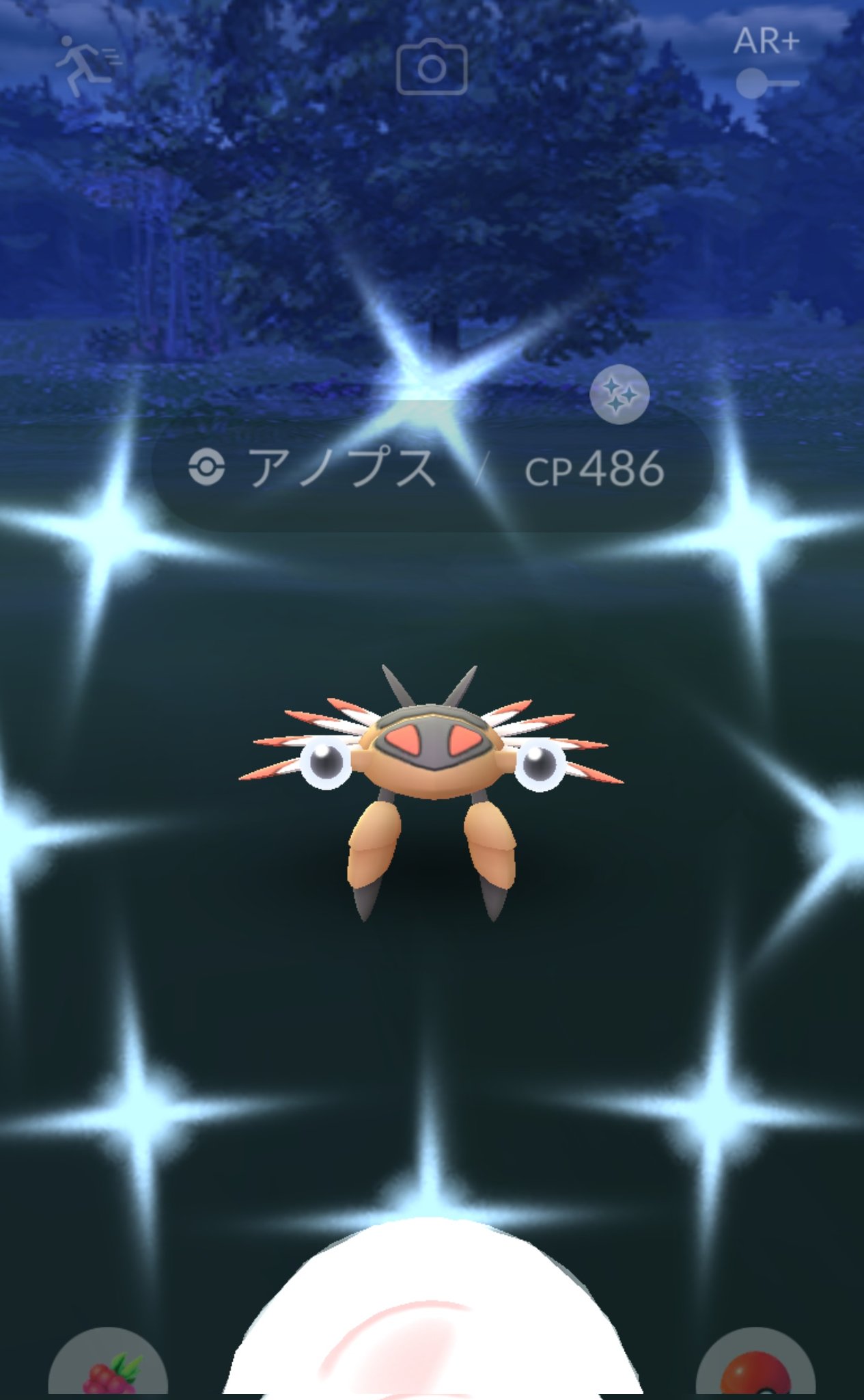 てこ ポケgo アノプス おめめぱちぱちかわいい ポケモンgo Pokemongo ポケモンgo色違い Shiny Anorith アノプス シナぷしゅみたいに言いたくなるのです T Co Qi09rostnq Twitter