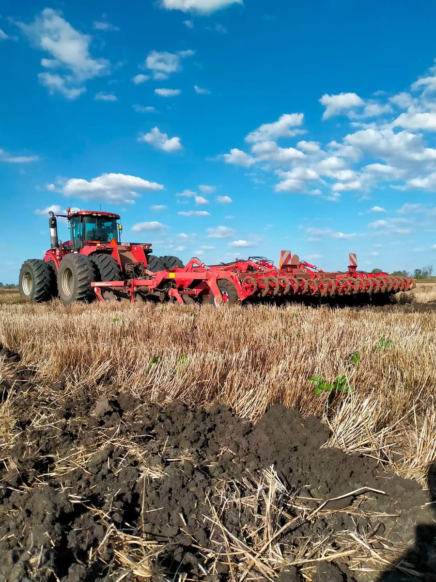 Matt McVeigh tweet media