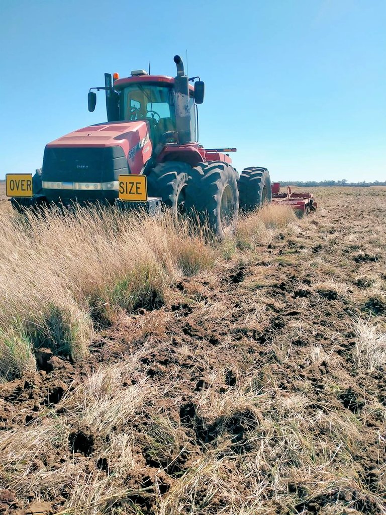 Matt McVeigh tweet media