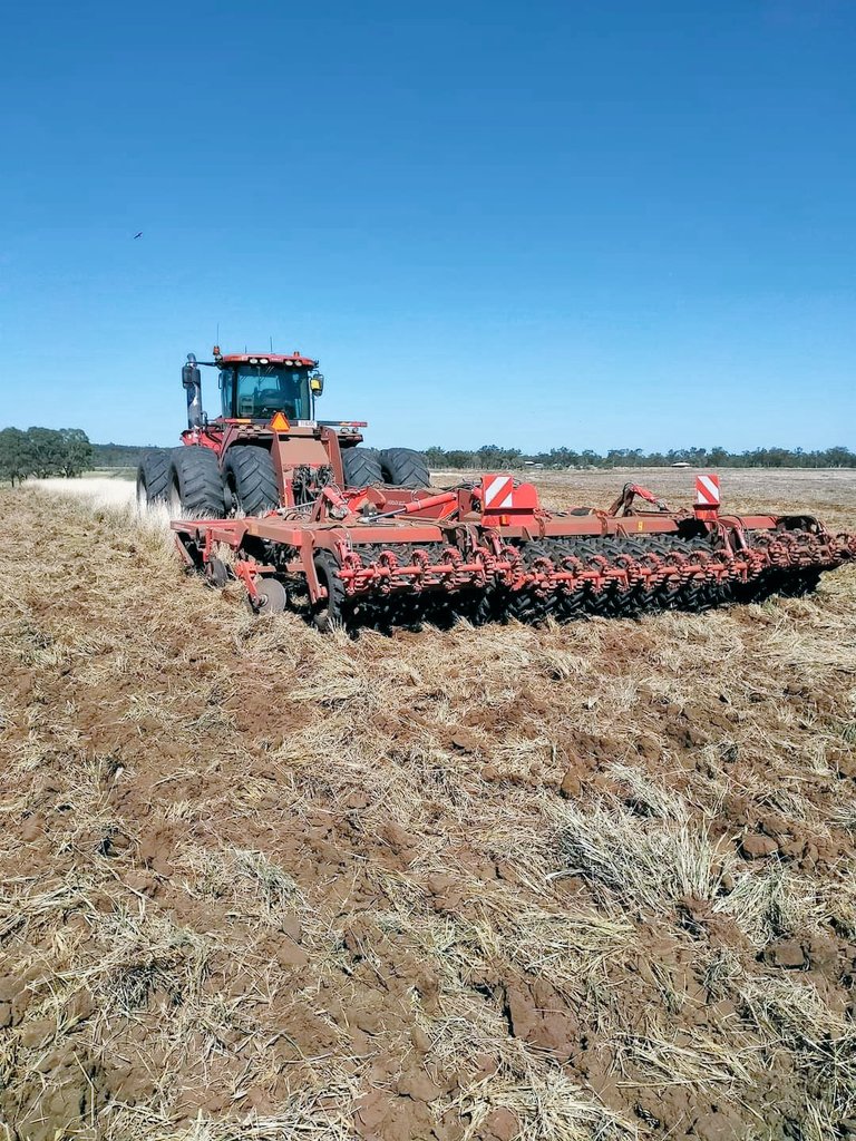 Matt McVeigh tweet media