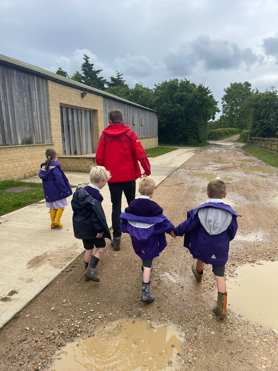 WycliffePrep's tweet photo. Year 1 are having the best day at @daylesfordfarm today! They have met the farm animals, collected fresh eggs and are just about to pick some delicious strawberries! 🥚 🍓 🐮 #foodgloriousfood https://t.co/FwHal2QMrz