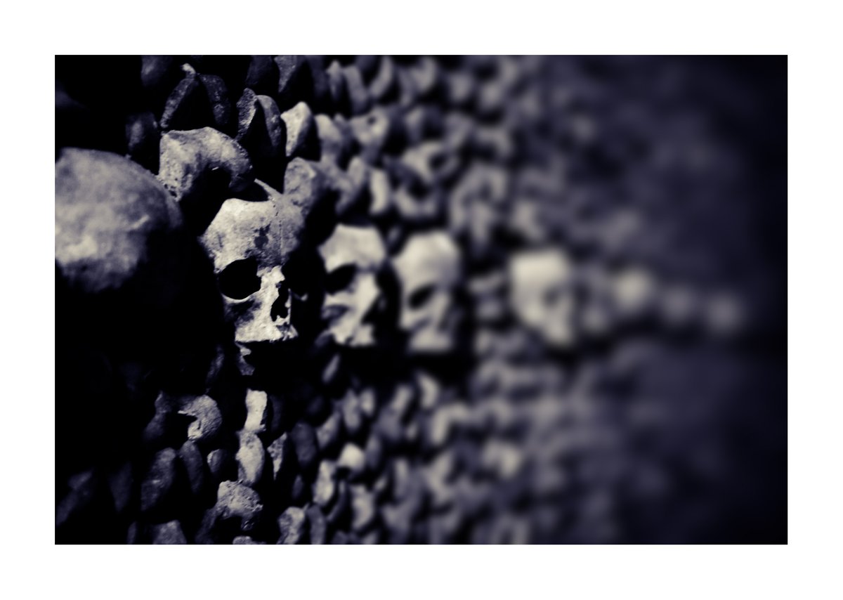 😸3-legged-jake😺 (@3_legged_jake) on Twitter photo 