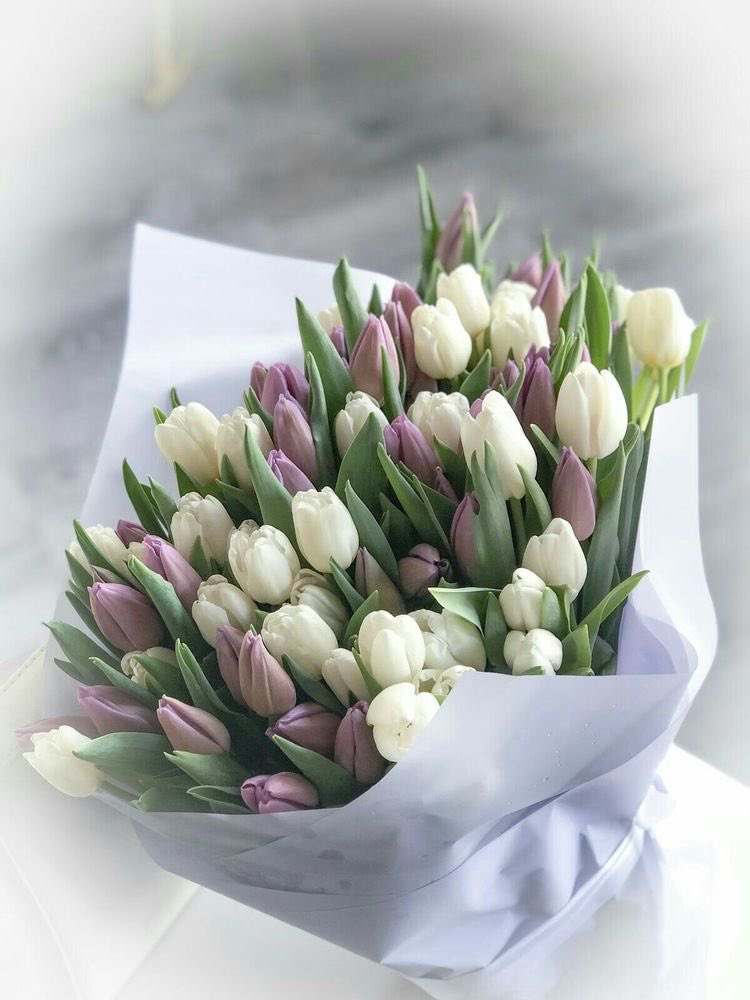 SelectOutfit's tweet image. tulips