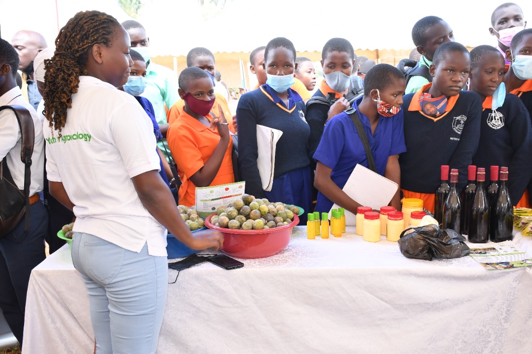 YaltaInitiative's tweet photo. First of all you have to feed the soil, the soil will feed the plant and the passion fruit will feed you too, the best way to feed the soil is to use organic fertilizers, Nahabwe Peskin-Ntungamo District YALTA and KCOA multiplier #AgricEducShow2022
@Pelum_ug
@Kcoa_Khea https://t.co/QbaKfuthje