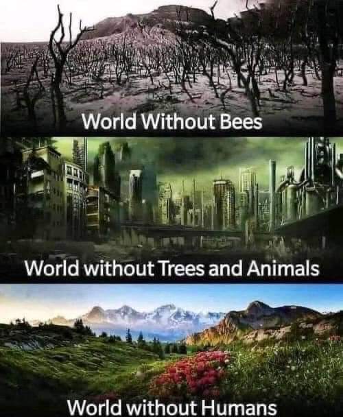 #SaveTheBees #savetheplanet #SaveTheBeesSquad #SaveTheChildren #SaveTheEnviroment #TrapNation #AllAboutTheBass #yolo #Omniaverse #FTW #1 QuaZè Bartholow😜 please child 🐝 sure 2 put your words in 2 question⁉️form or you'll 🐝 demanding n that plays thee roll of God & Op