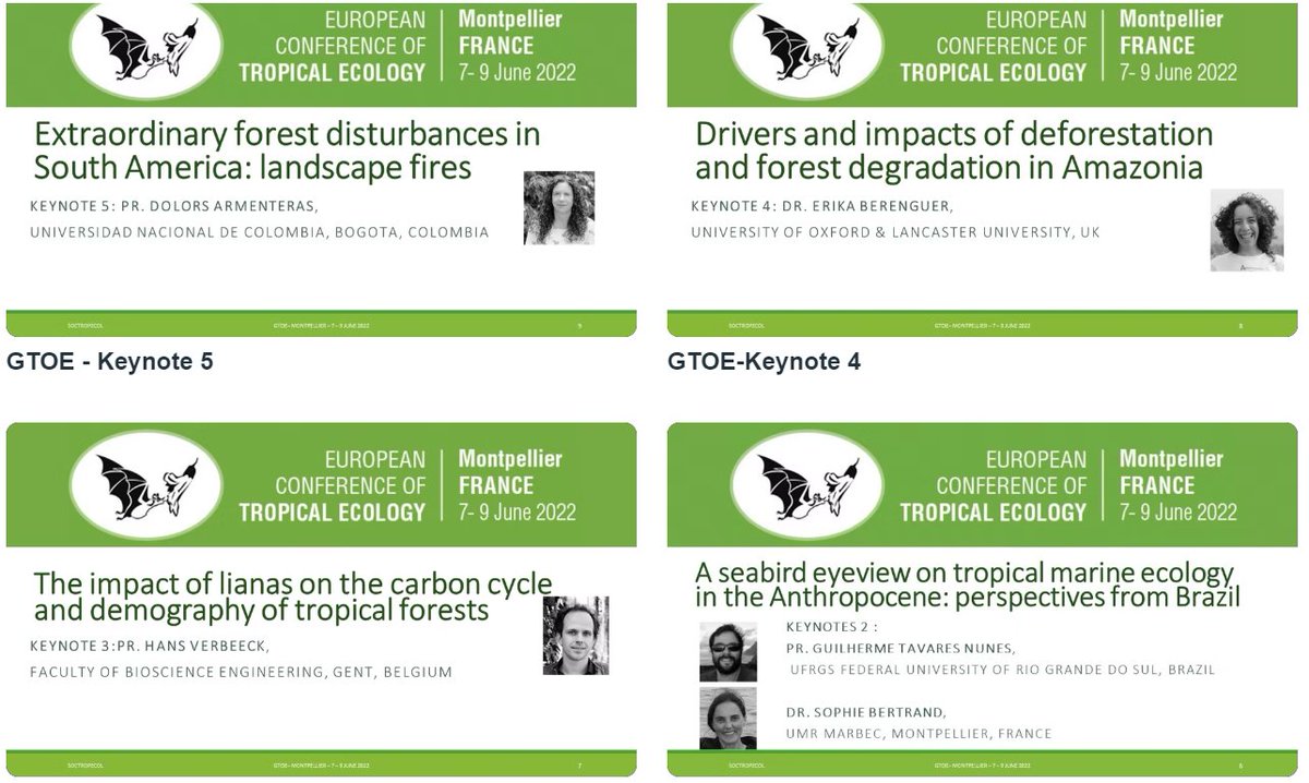 soctropecol's tweet photo. Dear followers of #gtoe2022!
We completed 6⃣ inspiring #keynotes!

Big thanks 👏 to:
- 🐘@RenskeOnstein 
- 🌊Guilherme Tavares Nunes 
- 🕊️Sophie Bertrand 
- 🌱@Hans1Verbeeck 
- 🌳@Erika_Berenguer 
- 🔥 Dolors Armenteras 
- 🪵 @pliniosist  

📹 Recordings: https://t.co/69QRRsjTWv https://t.co/sHuqUY7cru