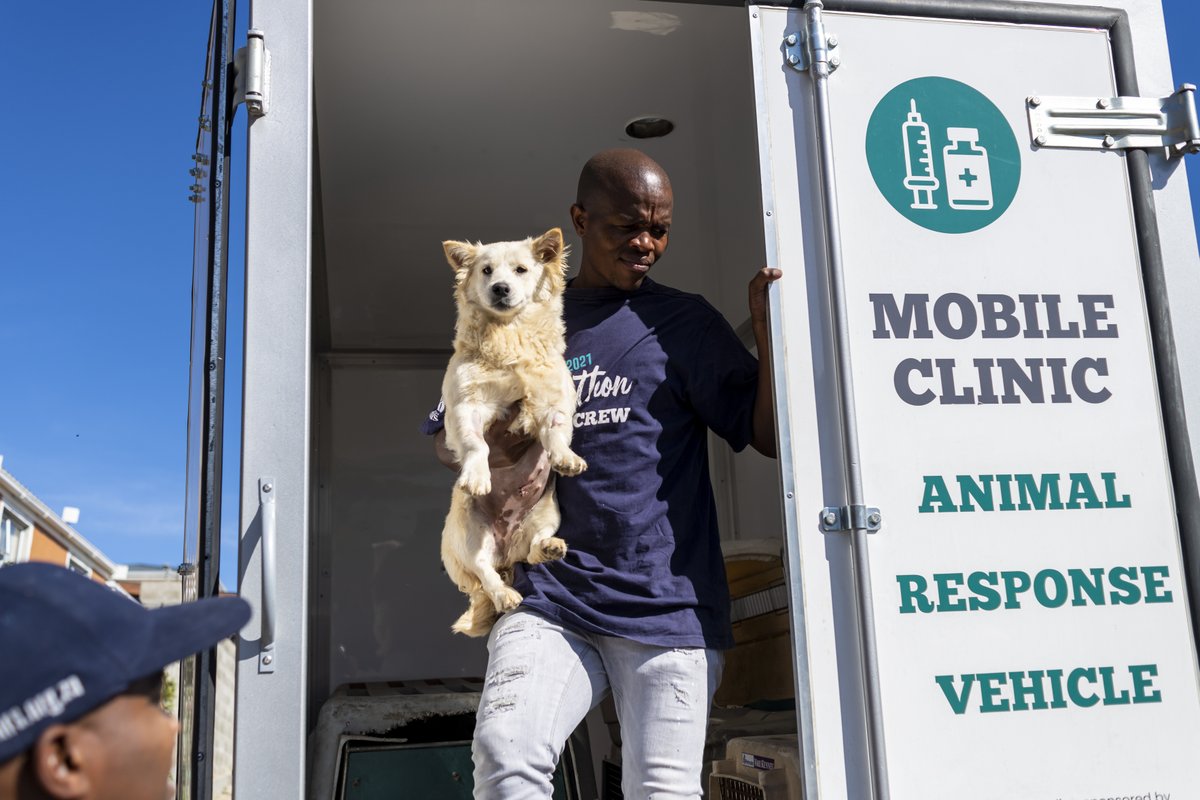 thependatrust's tweet image. Heartwarming visits at @TEARSwelfare – captured by our nonprofit photography program participant Silvia. Through one of their projects, TEARS provides free mobile animal clinics around Cape Town. Learn more here: tears.org.za/mobile-clinics/
#nonprofitphotography #animalwelfare
