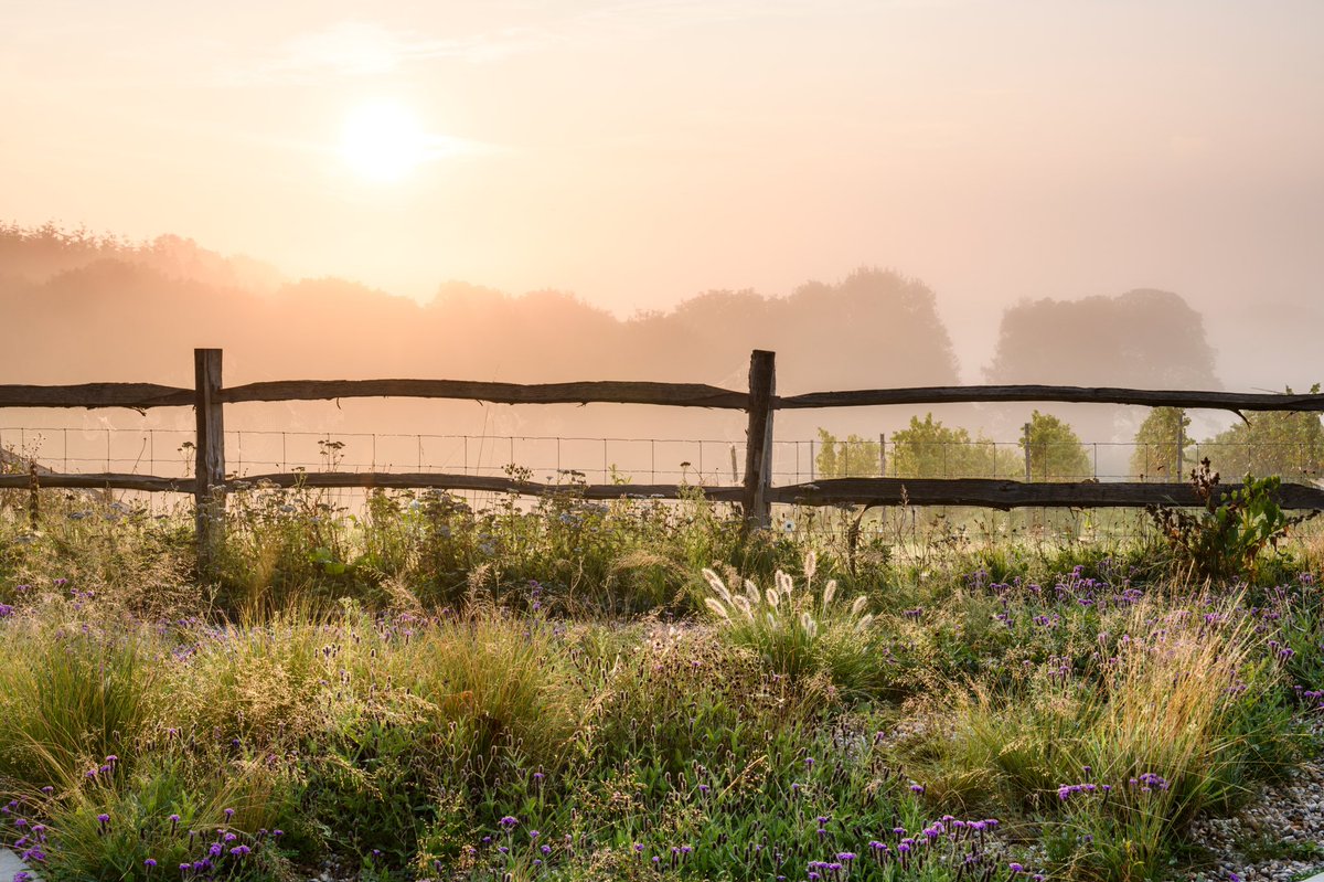 A round of applause as we welcome to our final headline speaker at our first #SGDSymposium to @Marianboswall. Marian’s talk is titles ‘Old Paradigms for New Problems; using plant wisdom to create regenerative and resilient landscapes’.