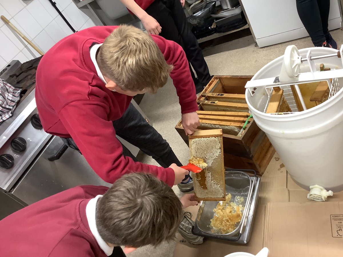 WellfieldMiddle's tweet image. Beekeeping week 6. It was hard work extracting the honey but the reward was a bit of quality control tasting!