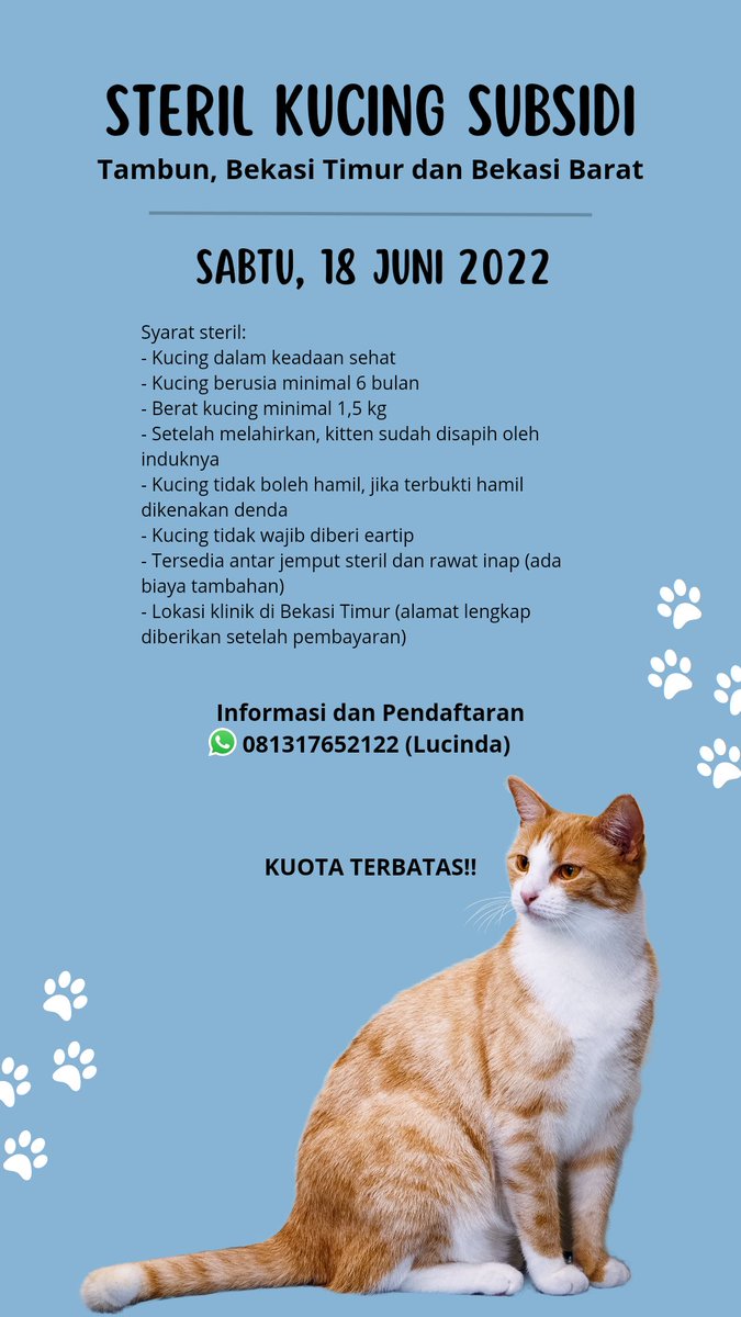 mydearmiso's tweet photo. [BANTU RT YA]
🐱STERIL SUBSIDI WILAYAH TAMBUN, BEKASI TIMUR DAN BEKASI BARAT🐱 #infosteril #sterilsubsidi #sterilbekasi https://t.co/2DMqOyILu1