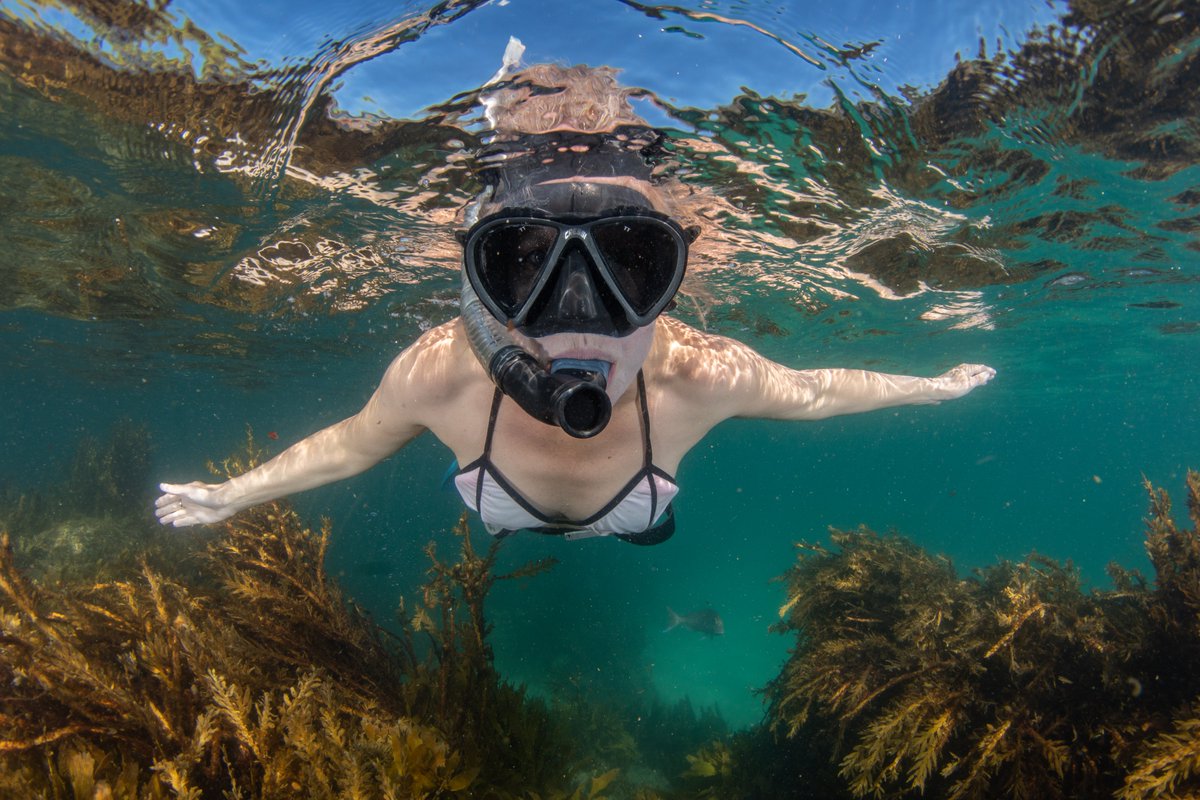 KatalystProds's tweet photo. Kia ora! It's been a busy old time of it, so we're slowly catching up on work updates ... We had a wonderful trip snorkelling &amp; filming in NZ's first ever marine reserve at #GoatIsland documenting the very important work of  #experincingmarinereserves #WorldOceansDay #saveourseas https://t.co/QchbAo1wxf