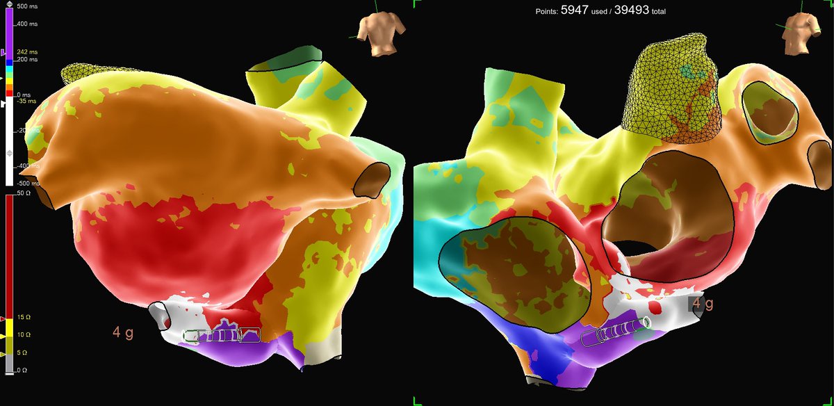 Al Pateqi tweet media