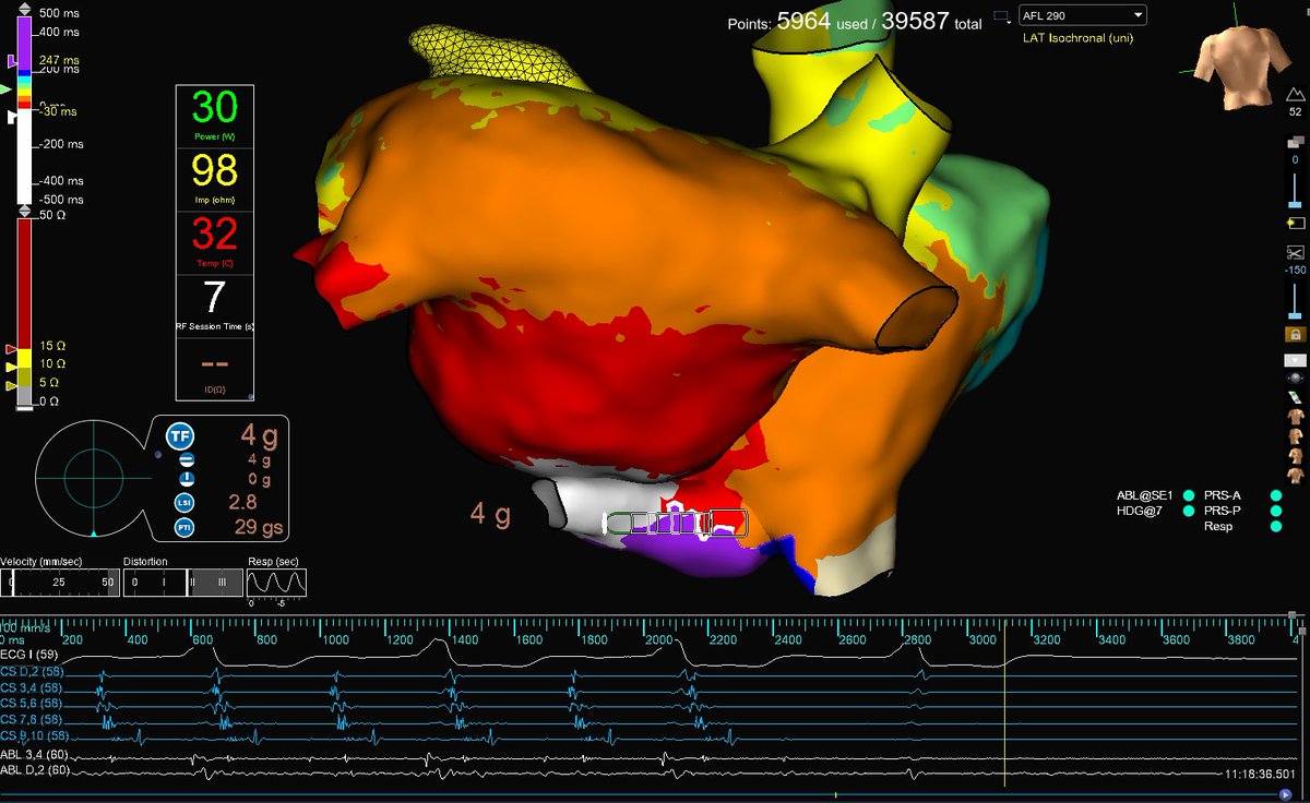 Al Pateqi tweet media