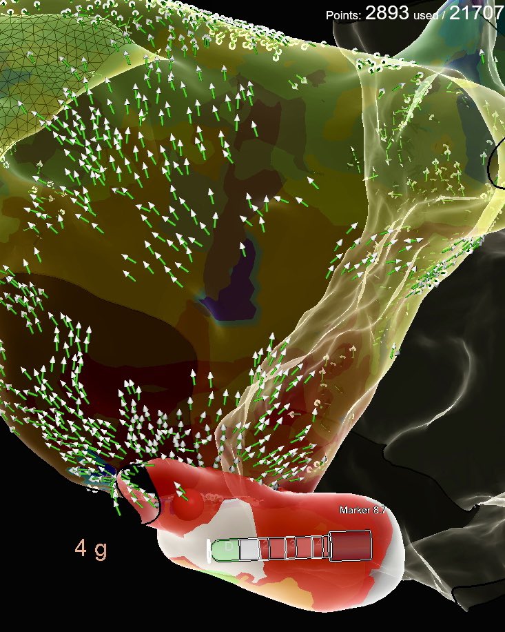 Al Pateqi tweet media