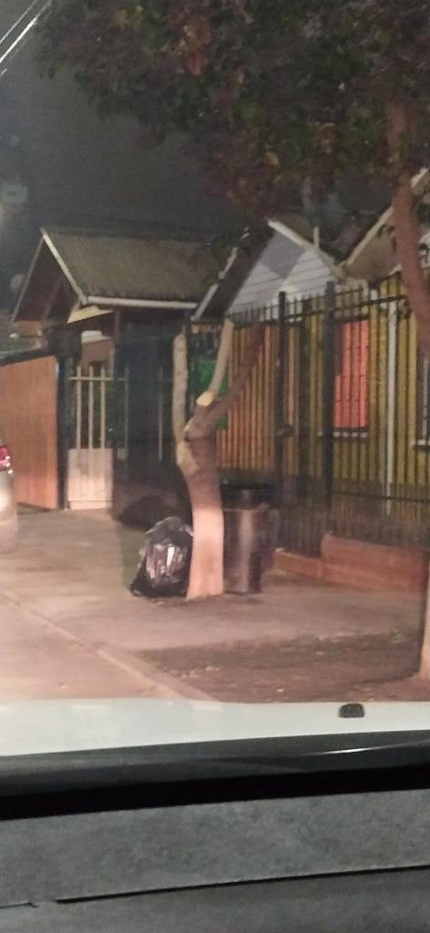 karr98's tweet photo. @muniquillota estimados, cómo es posible que se permita la mutilación de un árbol así? https://t.co/qAdmM6rBdH