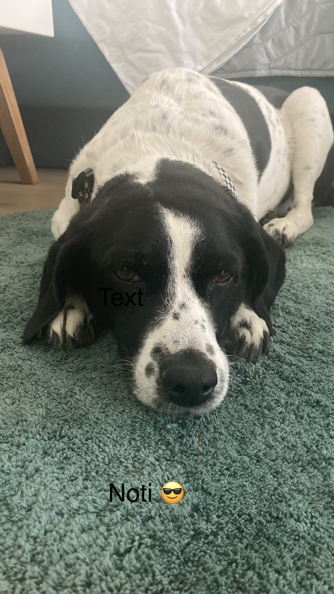 queasy father 🇷🇸 tweet media