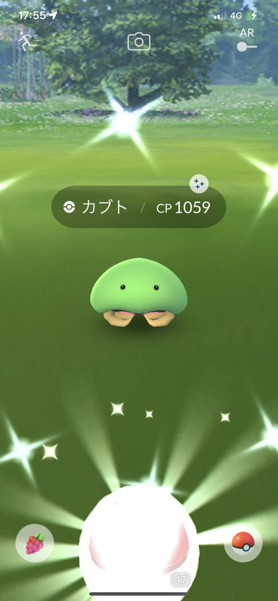 カブト色違い Twitter Search Twitter