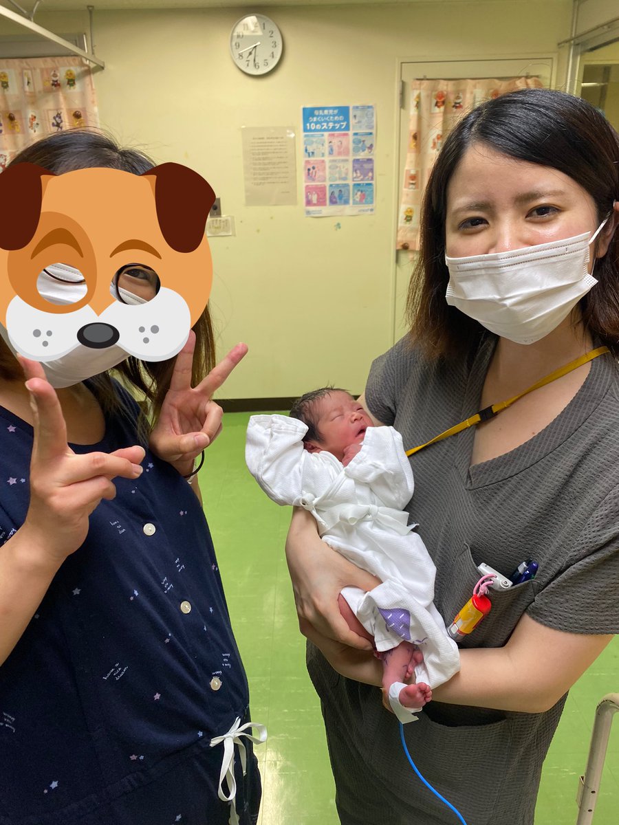 2_paoooooon's tweet photo. 「つばき」という名前を患者さんの赤ちゃんにつけてもらい
じじばば孝行ができて
たくさんの妊婦さんに「ありがとう」と言ってもらい
疲れたら海に入り

瀧、幸せに生きてます🌺 https://t.co/HTVw2MRCFZ